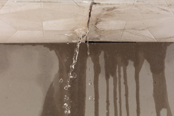 Professional Sewage Cleanup technician working in Newton, AL